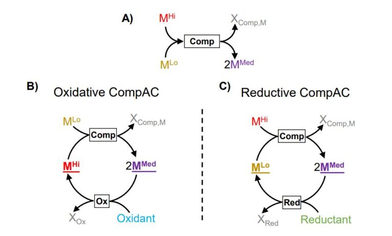 An assessment of stoichiometric autocatalysis across element groups