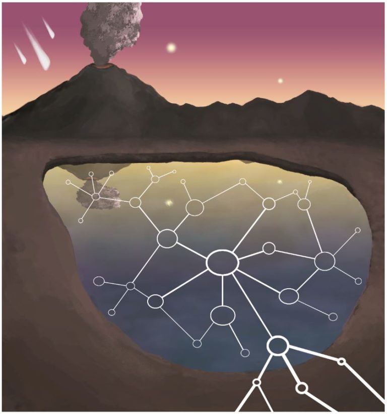 Prebiotic Reaction Networks in Water