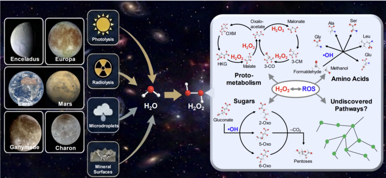 Hydrogen peroxide on Mars and icy moons: Implications for the search for extraterrestrial signatures of prebiotic chemistry