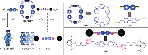Radically enhanced molecular recognition