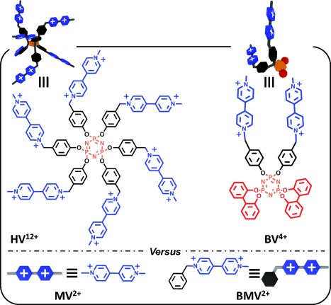 Radical‐Cation Dimerization Overwhelms Inclusion in [n]Pseudorotaxanes