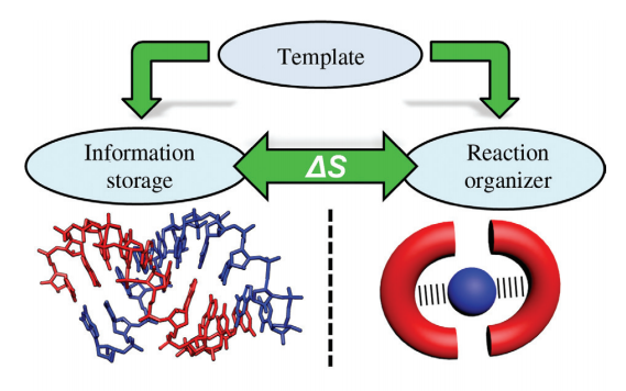 Template-directed nonenzymatic oligonucleotide synthesis: lessons from synthetic chemistry