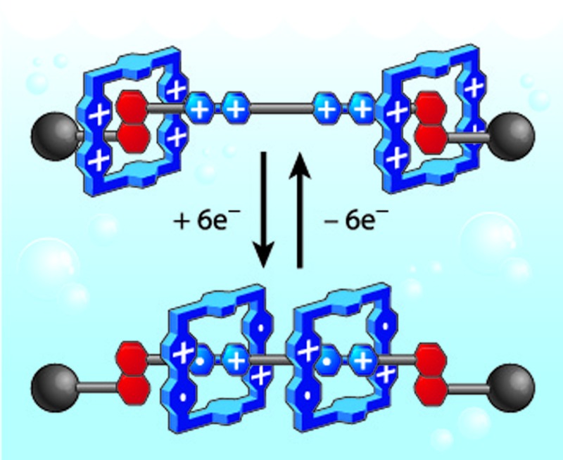 Relative contractile motion of the rings in a switchable palindromic [3]rotaxane in aqueous solution driven by radical-pairing interactions