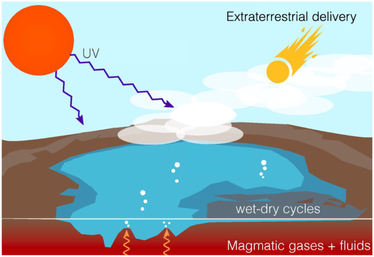 A Physicochemical Consideration of Prebiotic Microenvironments for Self-Assembly and Prebiotic Chemistry