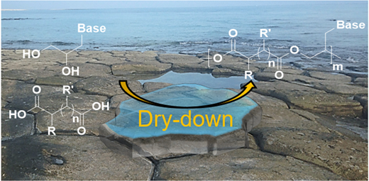 Alternating co-synthesis of glycol nucleic acid (GNA) monomers with dicarboxylic acids via drying