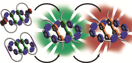 Mechanically Stabilized Tetrathiafulvalene Radical Dimers