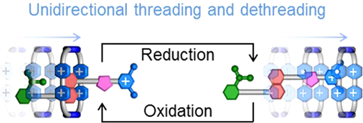 Relative Unidirectional Translation in an Artificial Molecular Assembly Fueled by Light